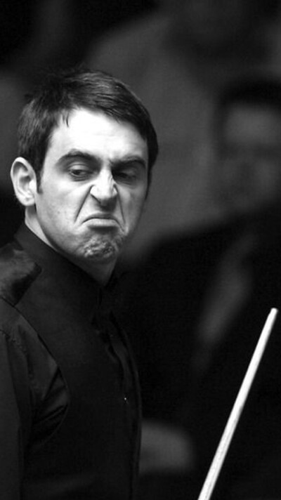 强势回归的 强势回归的